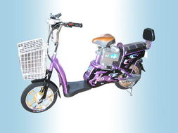 電動自行車品牌戰 制勝戰略與實戰策略